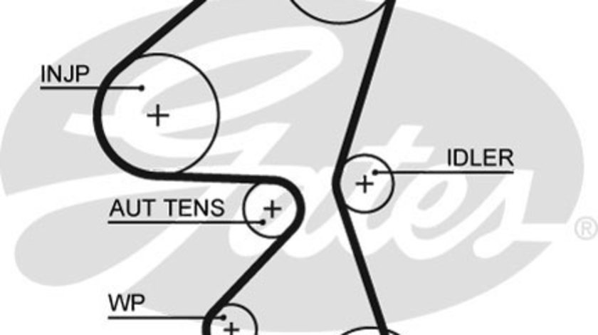 Curea de distributie (5587XS GAT) Citroen,FORD,FORD ASIA / OCEANIA,MAZDA,PEUGEOT,TOYOTA