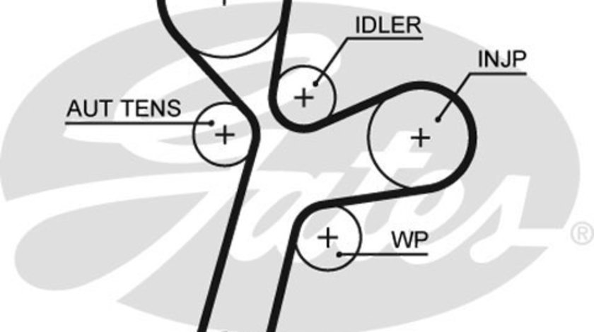 Curea de distributie (5634XS GAT) CHEVROLET,DAEWOO,OPEL,VAUXHALL