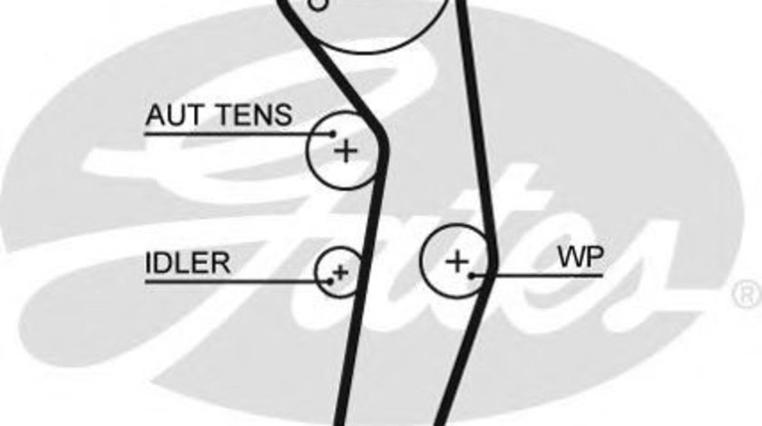 Curea de distributie AUDI A3 Cabriolet (8P7) (2008 - 2013) GATES 5569XS piesa NOUA