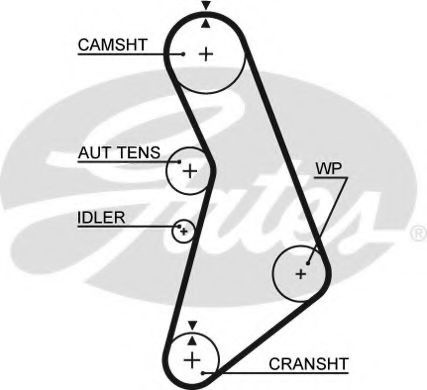 Curea de distributie AUDI TT Roadster (8N9) (1999 - 2006) GATES 5491XS piesa NOUA