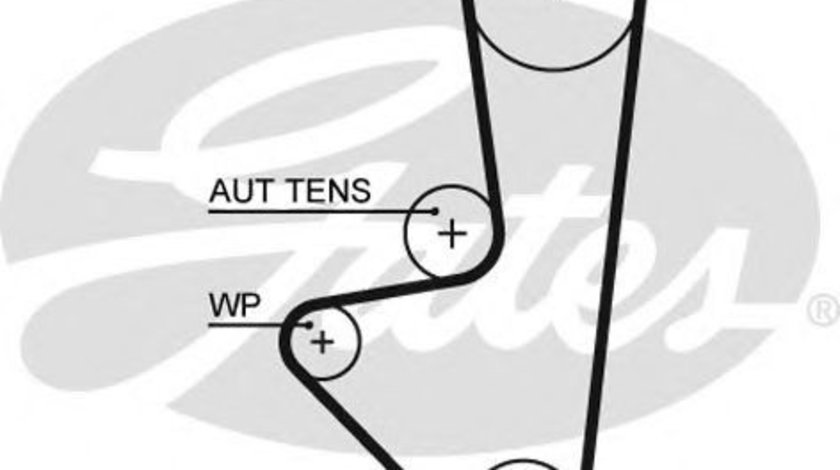 Curea de distributie CITROEN SAXO (S0, S1) (1996 - 2004) GATES 5575XS piesa NOUA