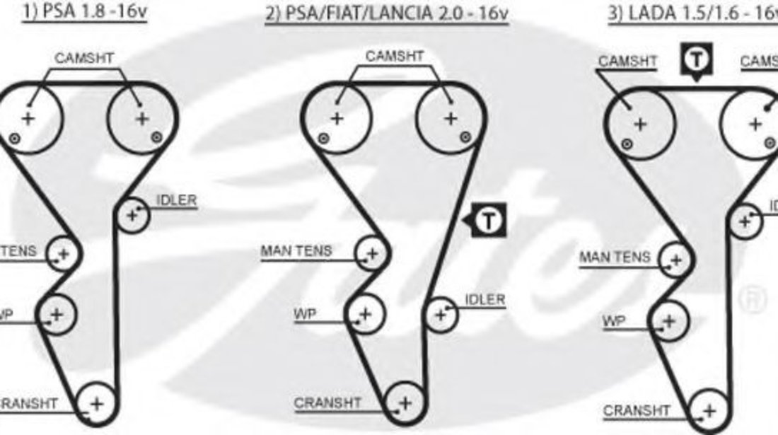 Curea de distributie CITROEN XANTIA Estate (X2) (1998 - 2003) GATES 5468XS piesa NOUA