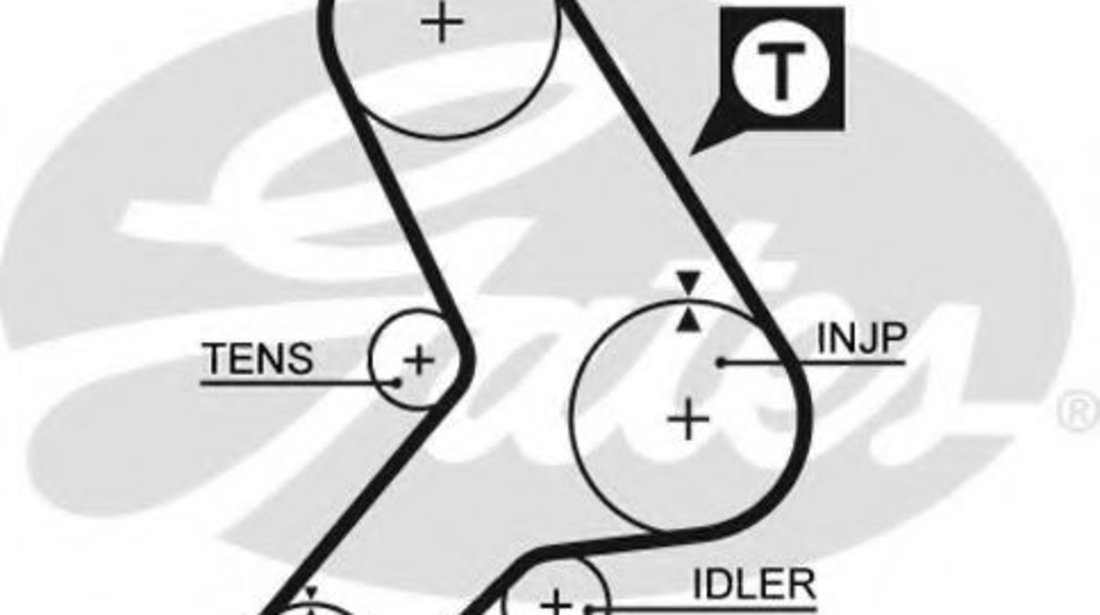 Curea de distributie FIAT ALBEA (178) (1996 - 2009) GATES 5178 piesa NOUA