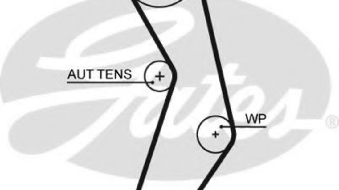 Curea de distributie FIAT DOBLO Combi (263) (2010 - 2016) GATES 5503XS piesa NOUA