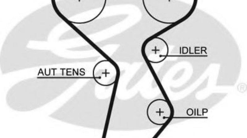 Curea de distributie FIAT MULTIPLA (186) (1999 - 2010) GATES 5432XS piesa NOUA