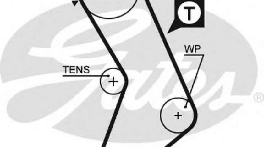 Curea de distributie FIAT PUNTO (188) (1999 - 2016) GATES 5545XS piesa NOUA