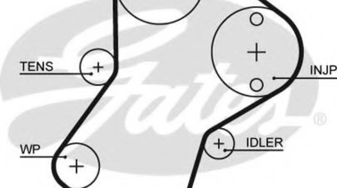 Curea de distributie FIAT SCUDO combinato (220P) (1996 - 2006) GATES 5049XS piesa NOUA
