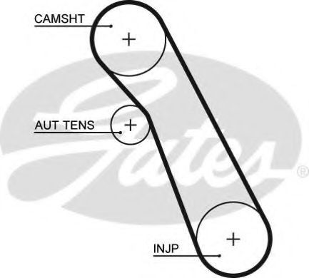 Curea de distributie FORD C-MAX (DM2) (2007 - 2016) GATES 5541XS piesa NOUA