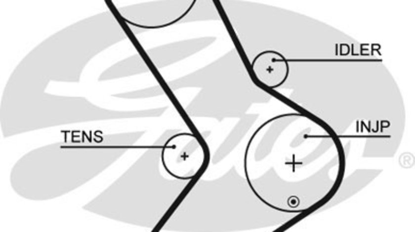 Curea de distributie (GAT5334XS GATES) Citroen,FIAT,IVECO,OPEL,PEUGEOT,RENAULT,RENAULT TRUCKS,SANTANA,VAUXHALL