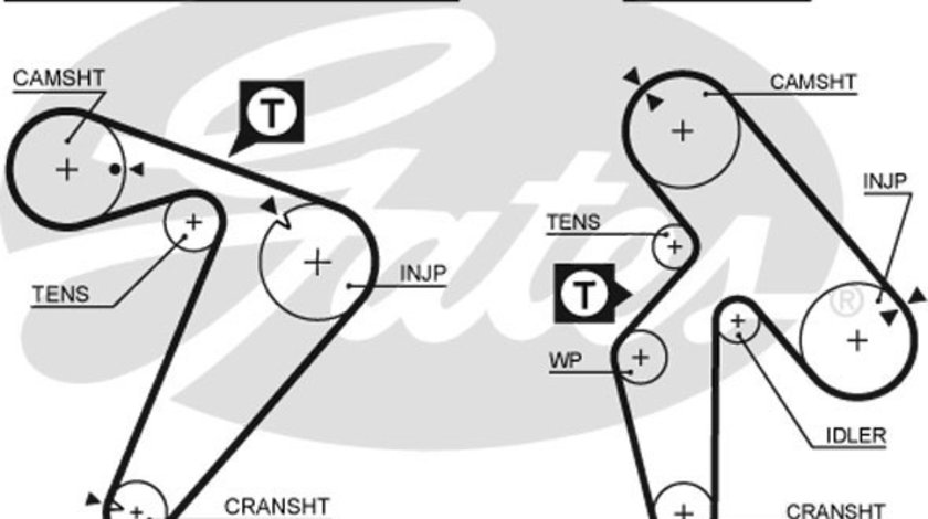 Curea de distributie (GAT5435XS GATES) HYUNDAI,KIA,MITSUBISHI,RENAULT