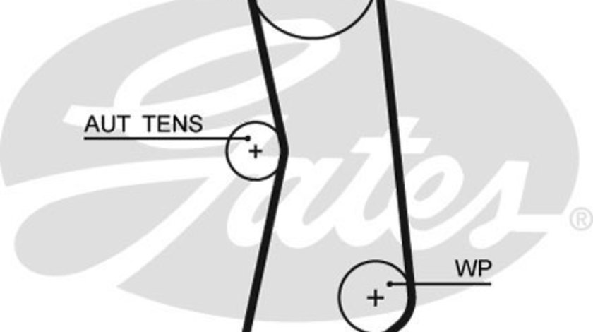 Curea de distributie (GAT5627XS GATES) ALFA ROMEO,CHRYSLER,FIAT,FORD,LANCIA,TATA,ZASTAVA