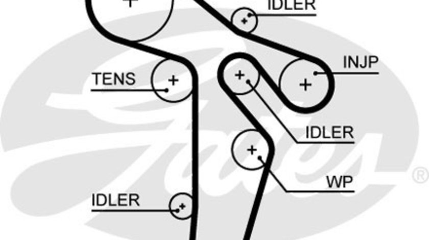 Curea de distributie (GAT5649XS GATES) AUDI,SEAT,SKODA,VW