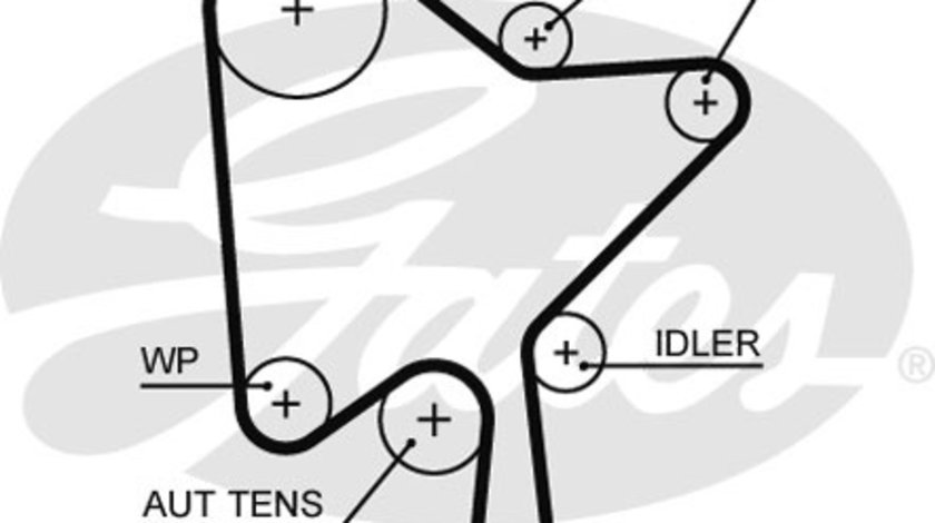 Curea de distributie (GAT5686XS GATES) VOLVO