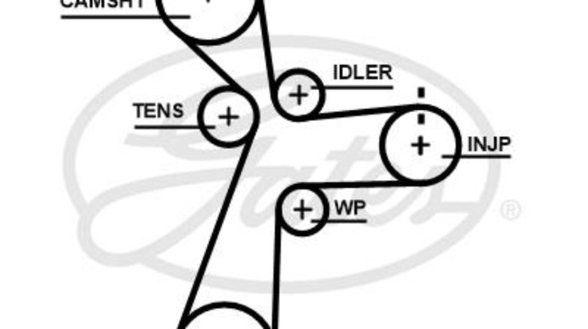 Curea de distributie (GAT5696XS GATES) HYUNDAI,KIA