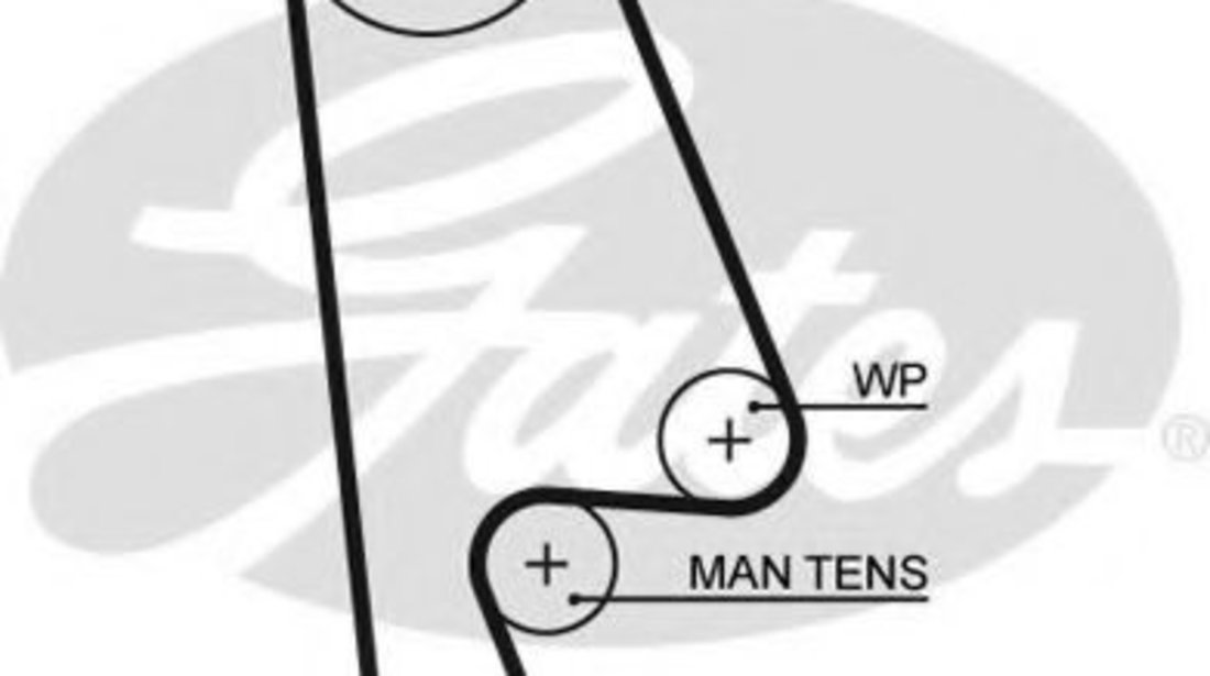 Curea de distributie HONDA ACCORD VI Hatchback (CH) (1999 - 2002) GATES 5480XS piesa NOUA