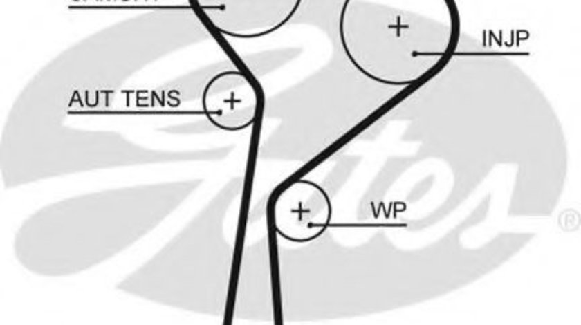 Curea de distributie MERCEDES B-CLASS (W246, W242) (2011 - 2016) GATES 5675XS piesa NOUA