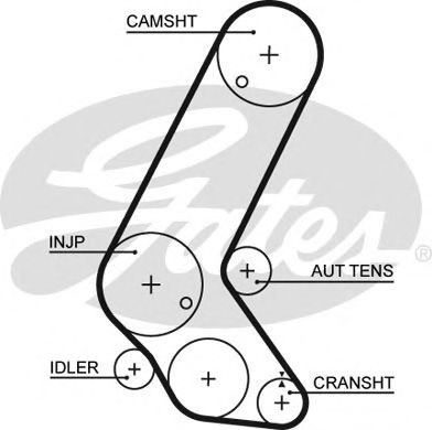 Curea de distributie OPEL ASTRA G Hatchback (F48, F08) (1998 - 2009) GATES 5595XS piesa NOUA