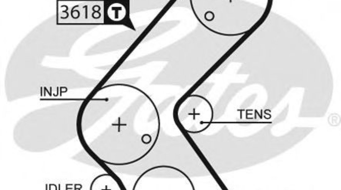 Curea de distributie OPEL MERIVA B (2010 - 2016) GATES 5563XS piesa NOUA