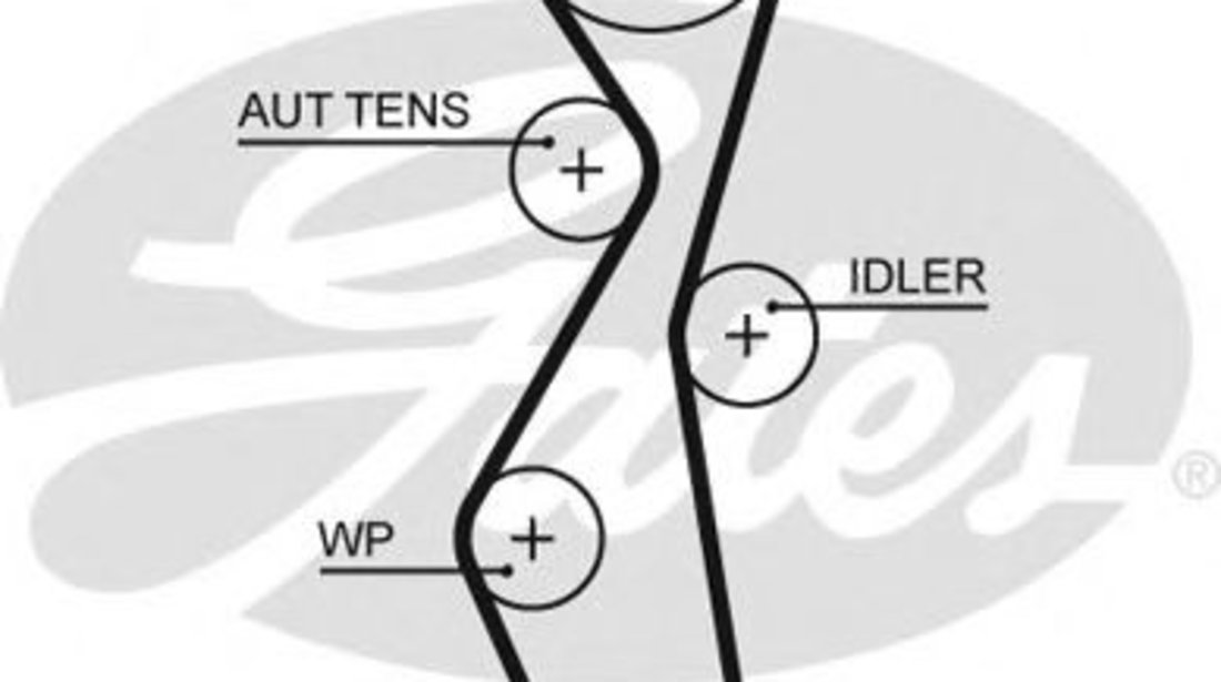 Curea de distributie PEUGEOT 407 SW (6E) (2004 - 2016) GATES 5672XS piesa NOUA