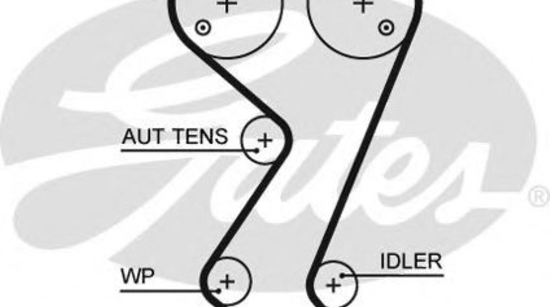 Curea de distributie PEUGEOT 807 (E) (2002 - 2016) GATES 5608XS piesa NOUA