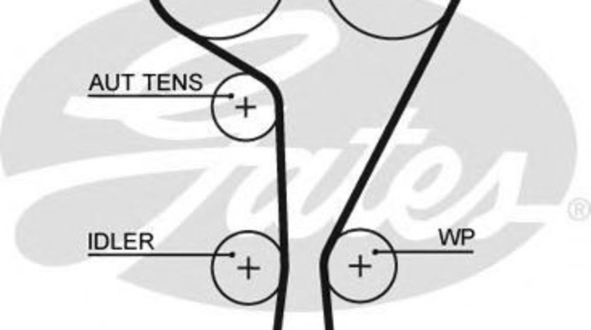 Curea de distributie RENAULT GRAND SCENIC II (JM0/1) (2004 - 2016) GATES 5550XS piesa NOUA