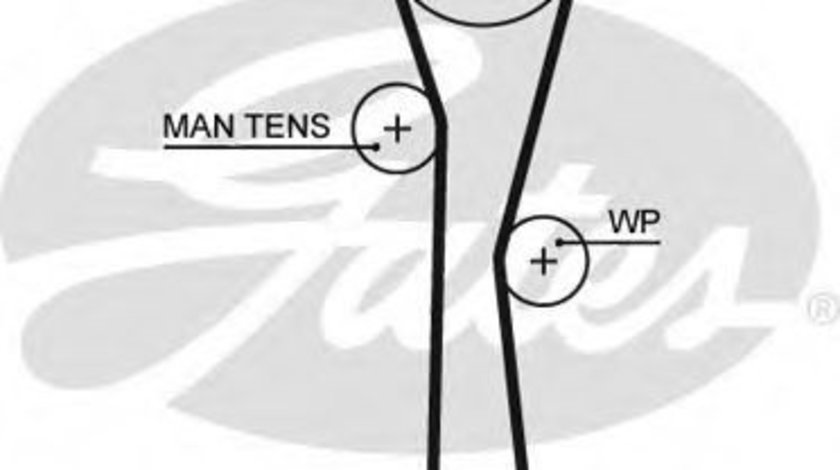 Curea de distributie RENAULT SYMBOL I (LB0/1/2) (1998 - 2008) GATES 5577XS piesa NOUA