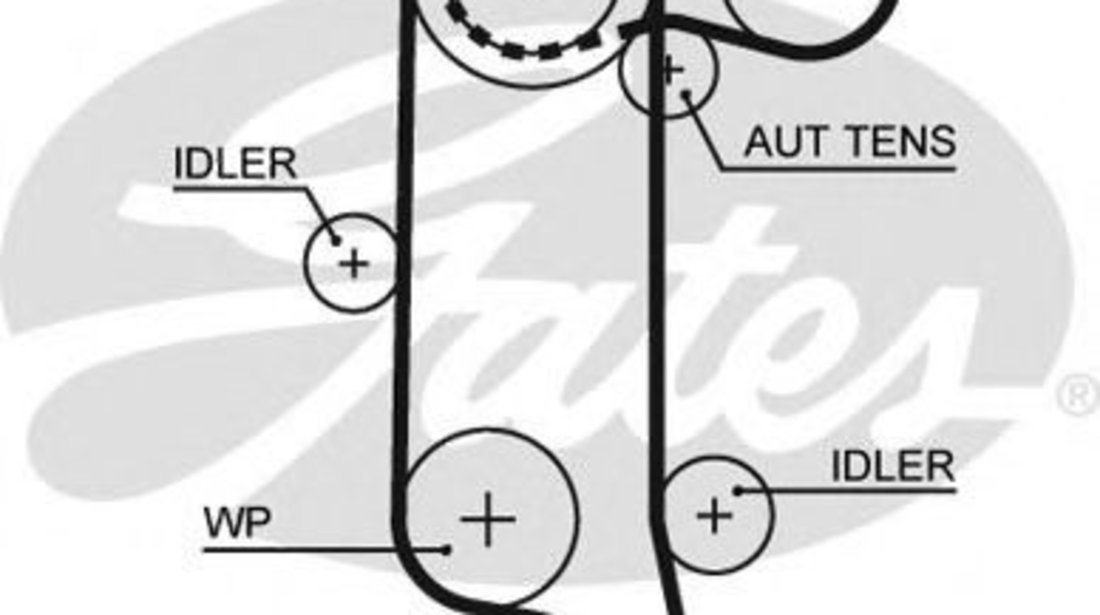 Curea de distributie SEAT AROSA (6H) (1997 - 2004) GATES 5565XS piesa NOUA