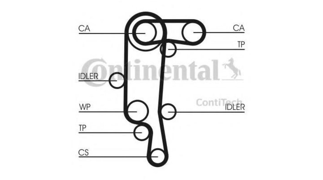 Curea de distributie Seat SEAT IBIZA V SPORTCOUPE (6J1, 6P1) 2008-2016 #2 036109119AC