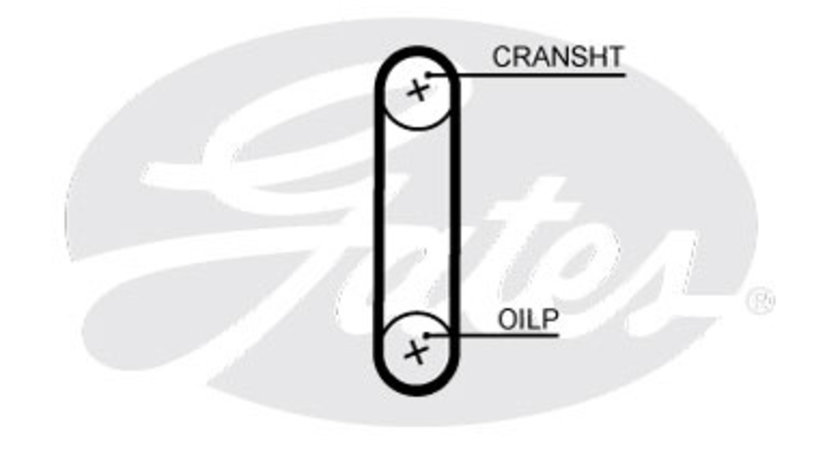 Curea de distributie (T351HOB GAT) AUDI,CUPRA,MAN,SEAT,SKODA,VW