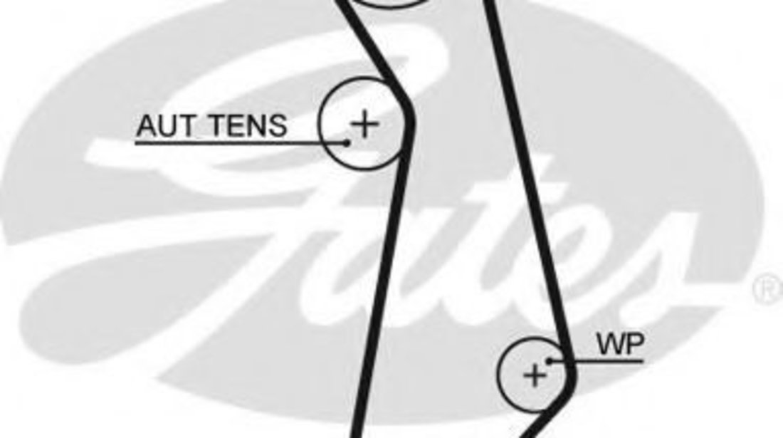 Curea de distributie VW GOLF PLUS (5M1, 521) (2005 - 2013) GATES 5489XS piesa NOUA