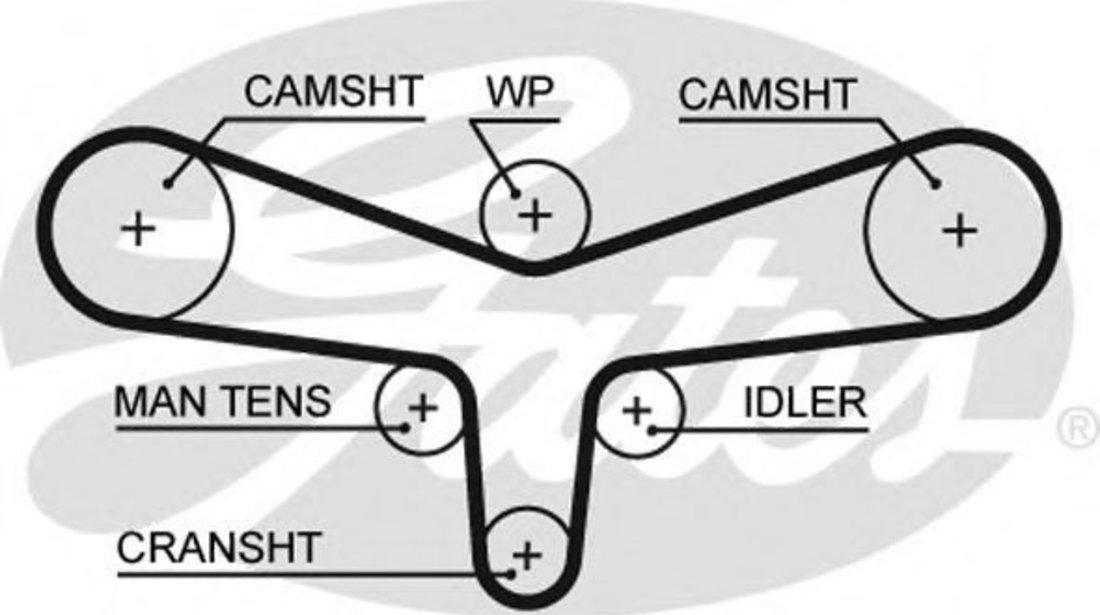 Curea de distributie VW PASSAT Variant (3B5) (1997 - 2001) GATES 5557XS piesa NOUA