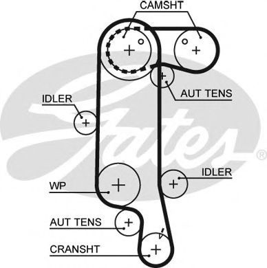 Curea de distributie VW POLO CLASSIC (6KV2) (1995 - 2006) GATES 5565XS piesa NOUA