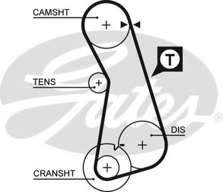 Curea de distributie VW TRANSPORTER IV bus (70XB, 70XC, 7DB, 7DW, 7DK) (1990 - 2003) GATES 5308 pies...