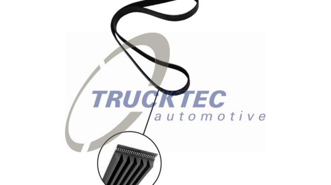 Curea transmisie cu caneluri (0219333 TRUCKTEC)