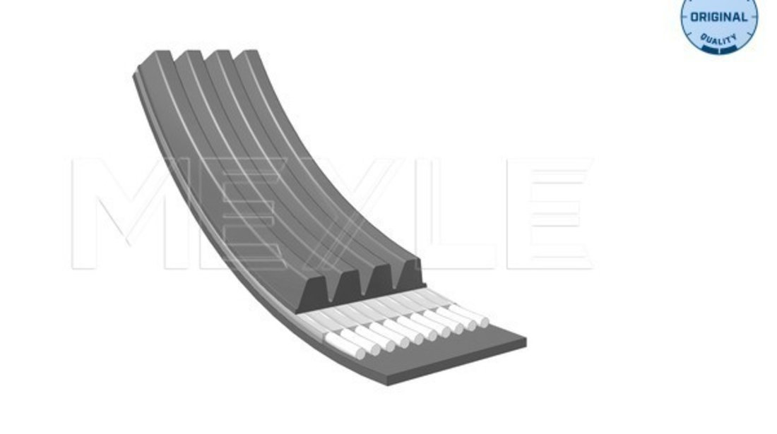 Curea transmisie cu caneluri (0500041420 MEYLE) MAN