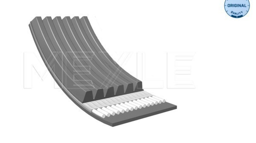 Curea transmisie cu caneluri (0500061180 MEYLE) MAN