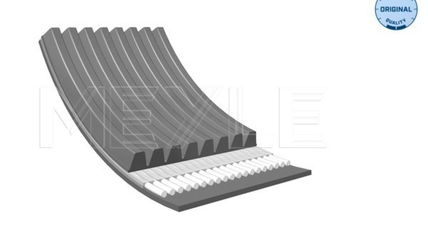 Curea transmisie cu caneluri (0500081920 MEYLE) MAN