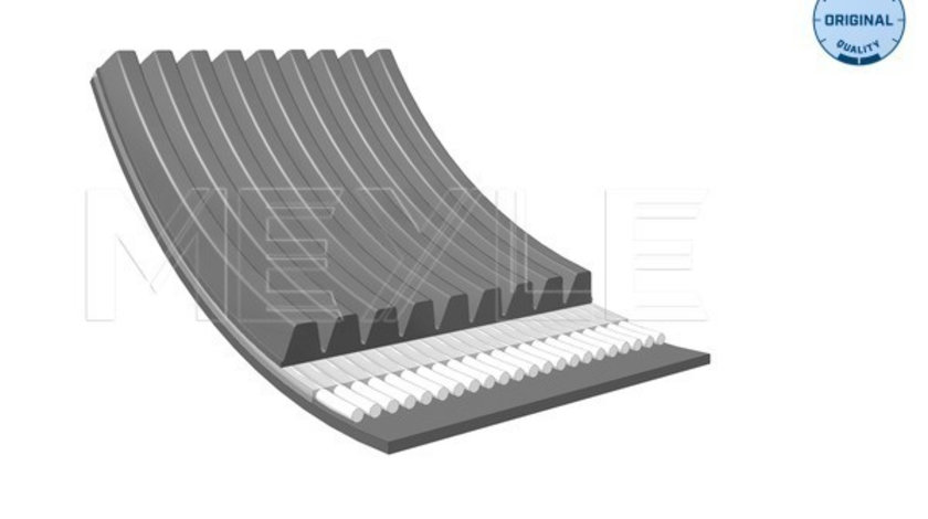 Curea transmisie cu caneluri (0500091890 MEYLE) MERCEDES-BENZ,SETRA