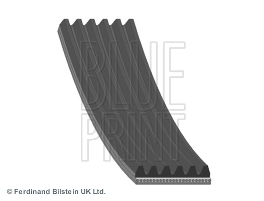 Curea transmisie cu caneluri (AD06R2556 BLP) DODGE,JEEP