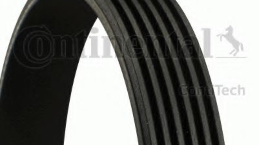 Curea transmisie cu caneluri ALFA ROMEO 156 (932) (1997 - 2005) CONTITECH 6PK1038 piesa NOUA