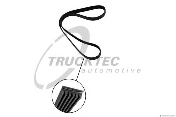 Curea transmisie cu caneluri ALFA ROMEO 159 Sportwagon (939) (2006 - 2011) TRUCKTEC AUTOMOTIVE 08.19.073 piesa NOUA