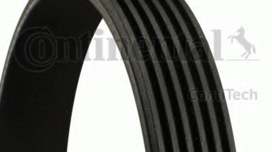 Curea transmisie cu caneluri ALFA ROMEO GT (937) (2003 - 2010) CONTITECH 6PK1033 piesa NOUA