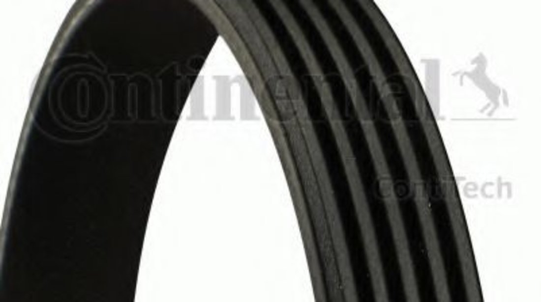 Curea transmisie cu caneluri BMW Seria 3 (E46) (1998 - 2005) CONTITECH 5PK865 piesa NOUA