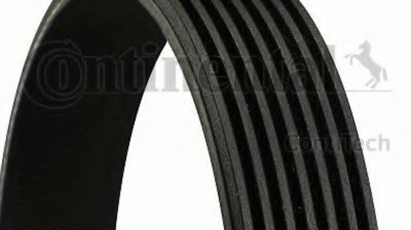 Curea transmisie cu caneluri BMW Seria 3 (E90) (2005 - 2011) CONTITECH 7PK1855 piesa NOUA