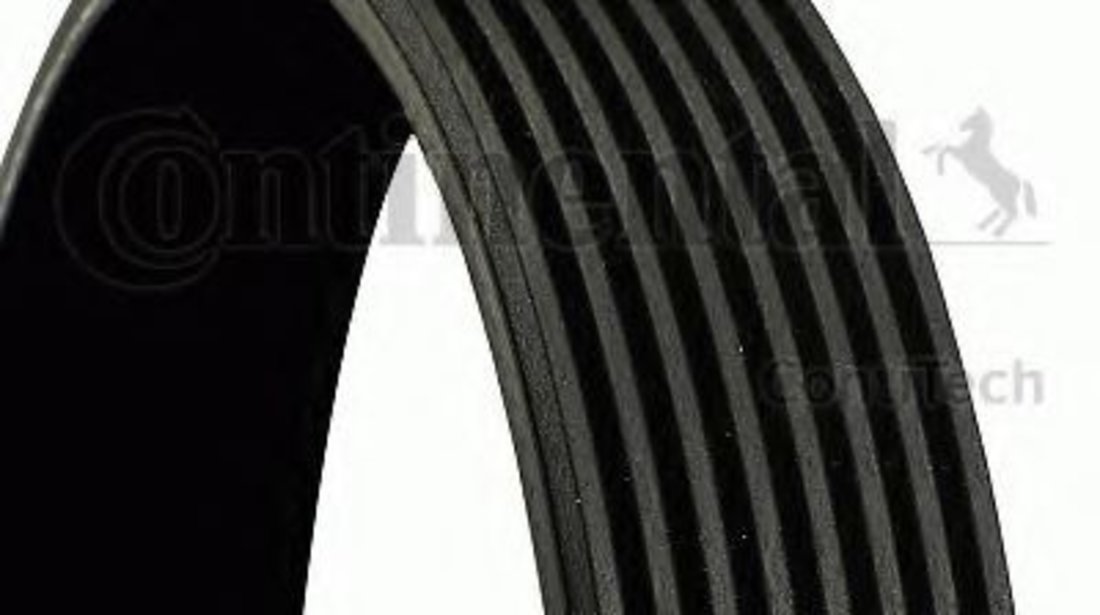 Curea transmisie cu caneluri MERCEDES E-CLASS (W211) (2002 - 2009) CONTITECH 8PK2290 piesa NOUA