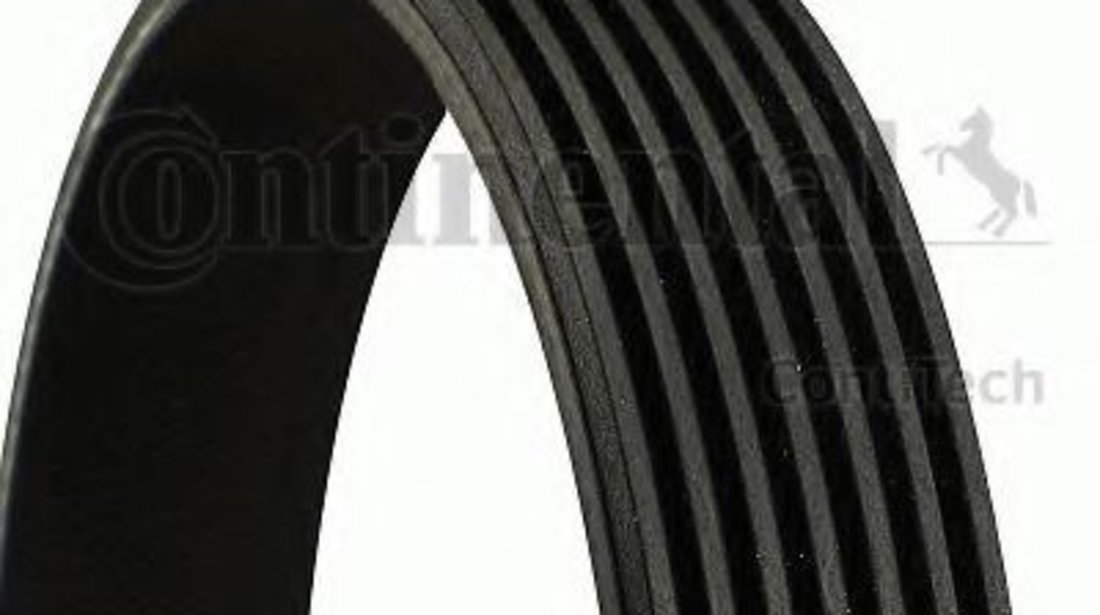 Curea transmisie cu caneluri MERCEDES S-CLASS (W221) (2005 - 2013) CONTITECH 7PK2370 piesa NOUA