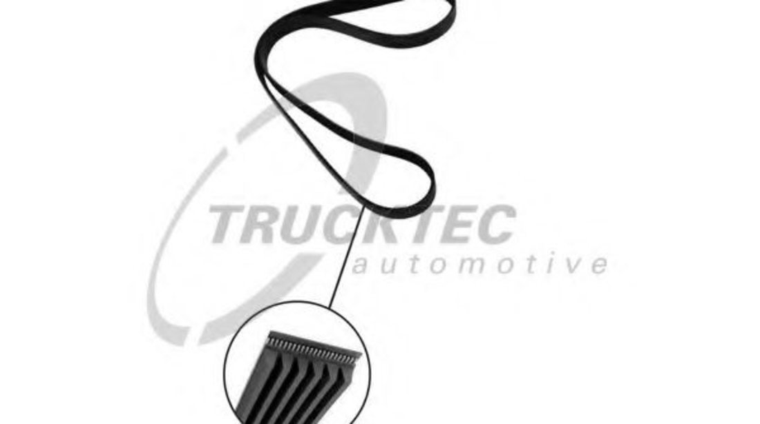 Curea transmisie cu caneluri MITSUBISHI LANCER Limuzina (CS, CT0) (2000 - 2016) TRUCKTEC AUTOMOTIVE 08.19.069 piesa NOUA