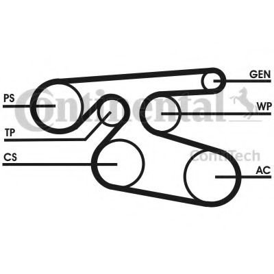 Curea transmisie cu caneluri TOYOTA COROLLA Verso (ZER, ZZE12, R1) (2004 - 2009) CONTITECH 7PK2000 p...