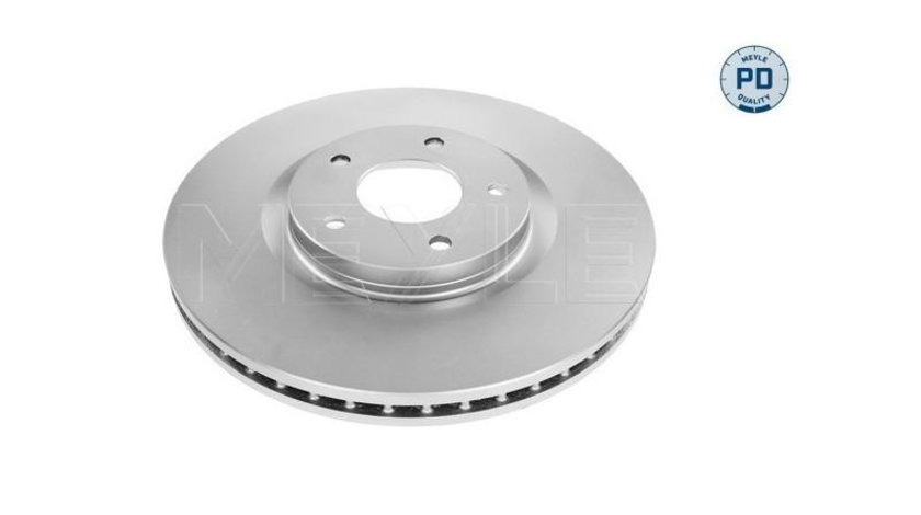 Disc de frana Nissan Qashqai (2007->)[J10,NJ10,JJ10E] #2 0986479358