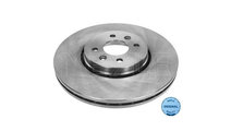 Disc de frana Renault SCENIC II (JM0/1_) 2003-2016...